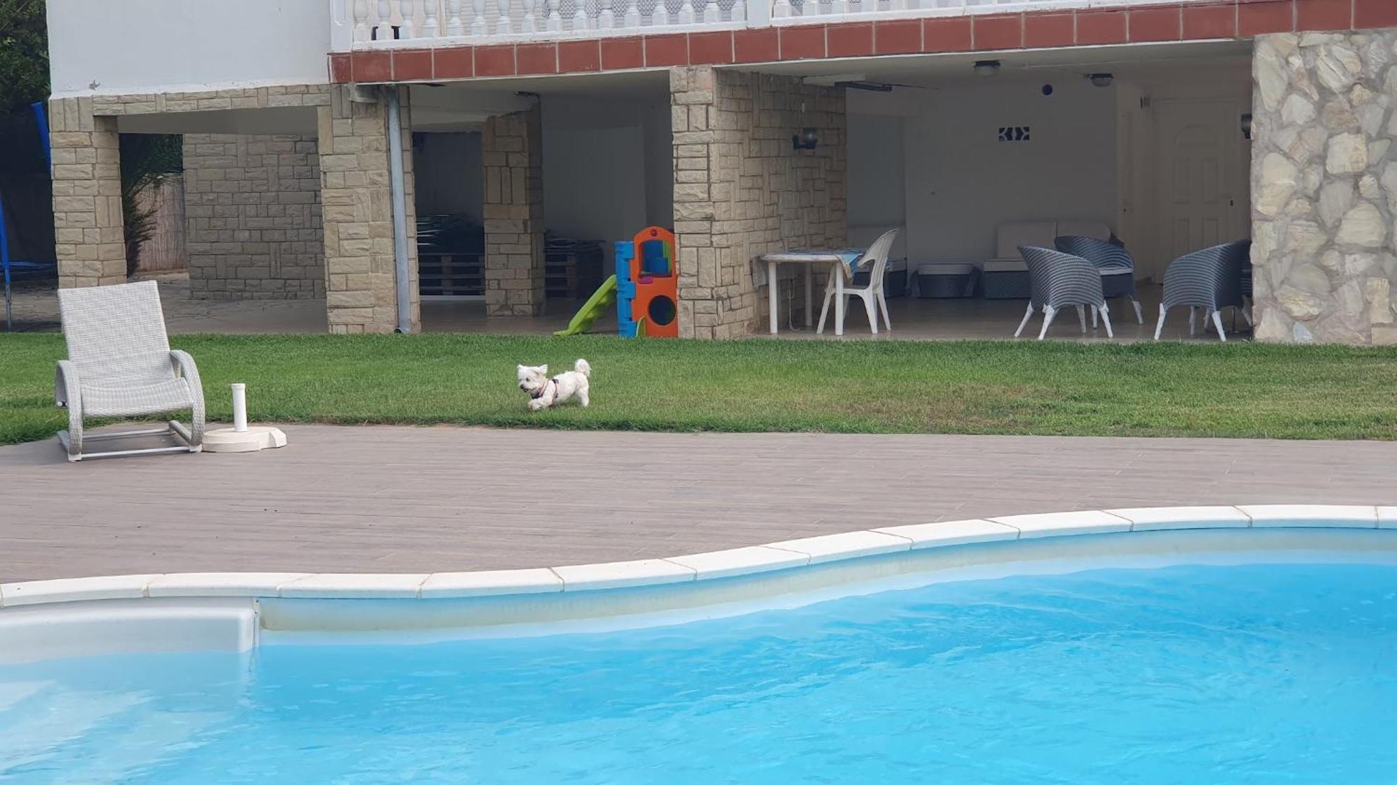 Villa Privada La Pedrereta Σαλού Εξωτερικό φωτογραφία